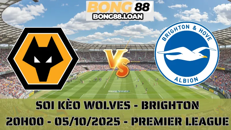 Soi Kèo Wolves Vs Brighton