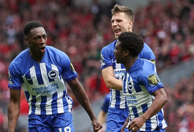 Brighton vs Sunderland đều c&oacute; th&agrave;nh t&iacute;ch tốt